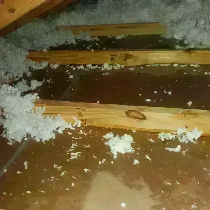 Attic Water Damage in La Villa, TX